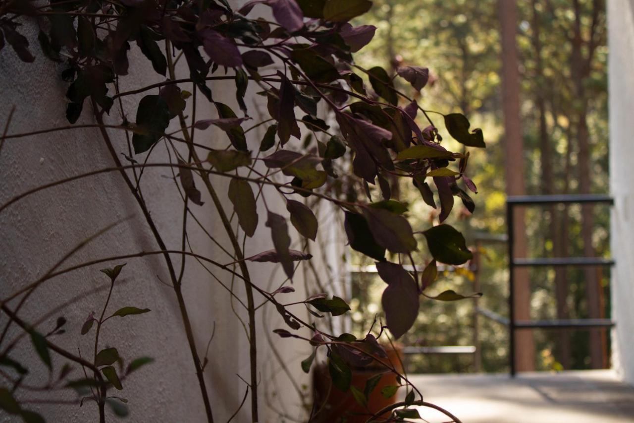 Villa Encino House à Valle de Bravo Extérieur photo